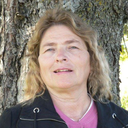 A person with long wavy light brown hair stands in front of a tree trunk. They are wearing a black jacket with white strings and a pink top underneath. Debbie Wussow's favorite serene setting, the background contains blurred greenery as sunlight filters through the leaves.