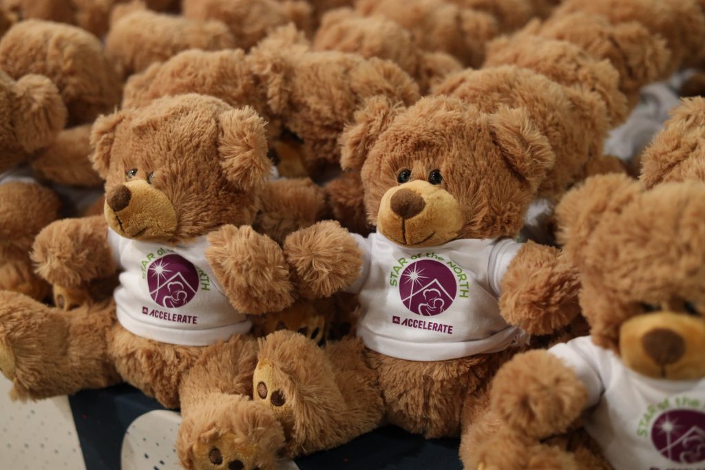 A group of brown teddy bears wearing white T-shirts with a purple and green "Star of the North Accelerate" logo sit closely together, ready to delight guests at the upcoming Accelerate Event for Star of the North Maternity Home.
